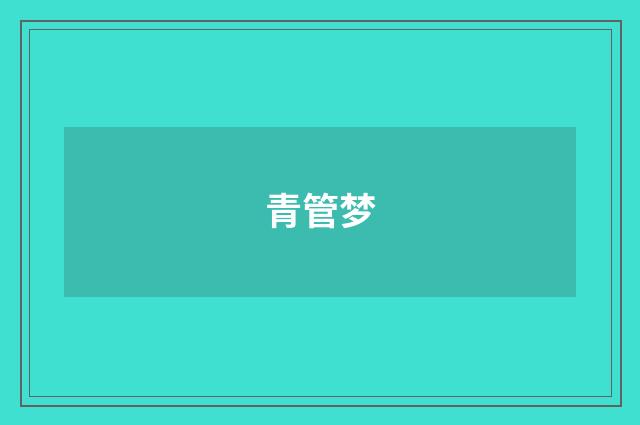 青管梦
