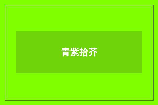 青紫拾芥