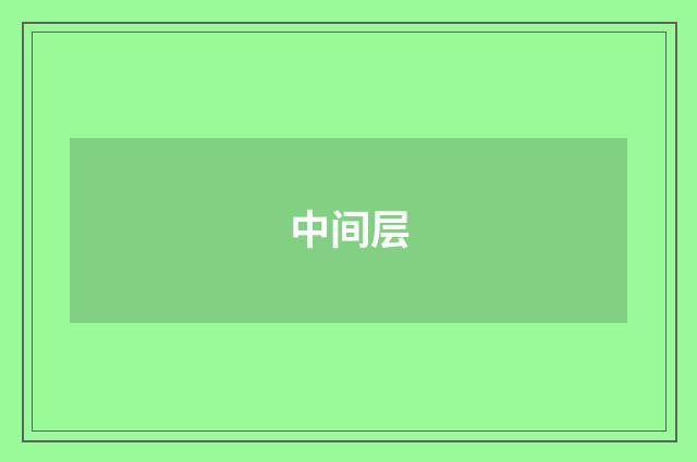 中间层