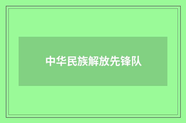 中华民族解放先锋队