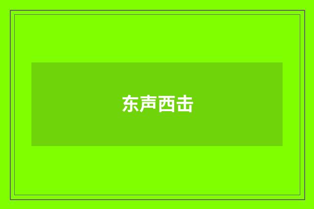 东声西击