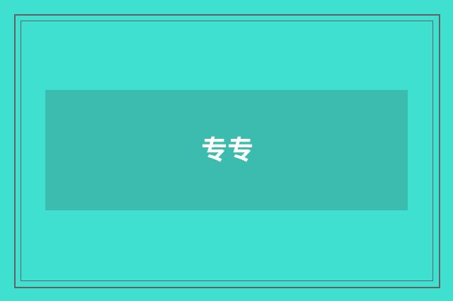 专专