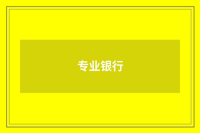 专业银行