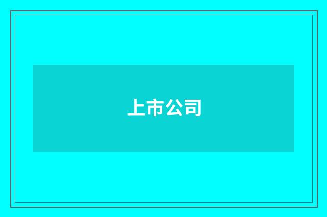上市公司