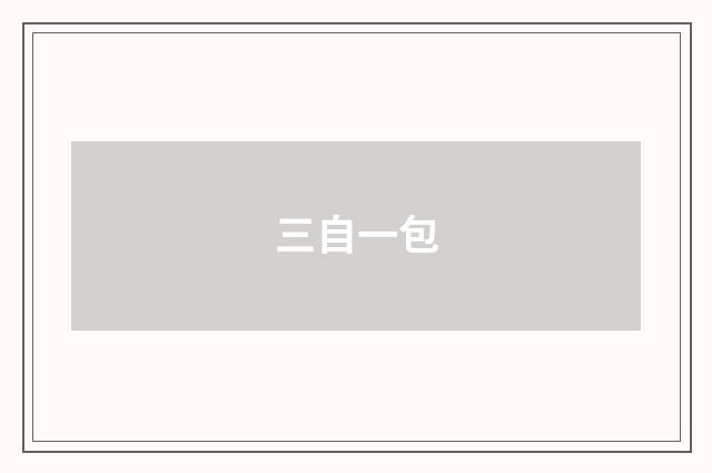 三自一包