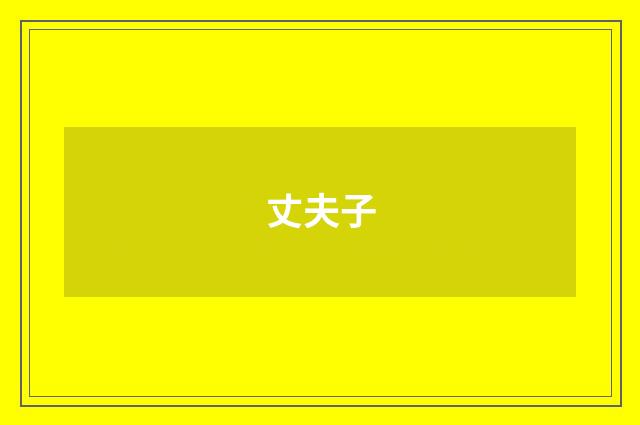 丈夫子