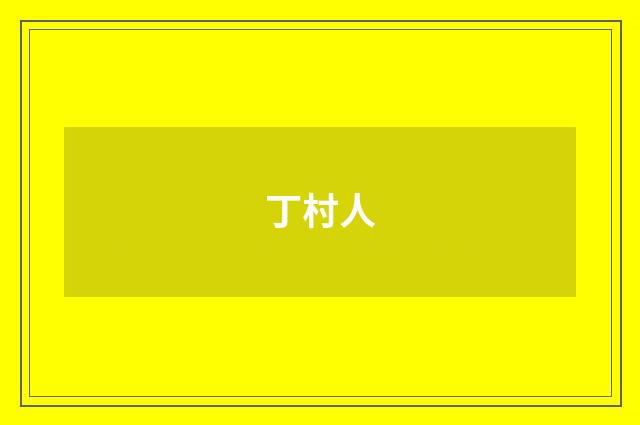 丁村人