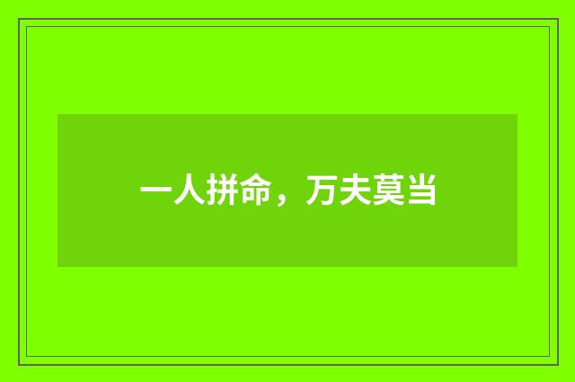 一人拼命，万夫莫当