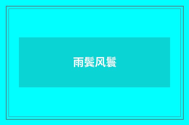 雨鬓风鬟