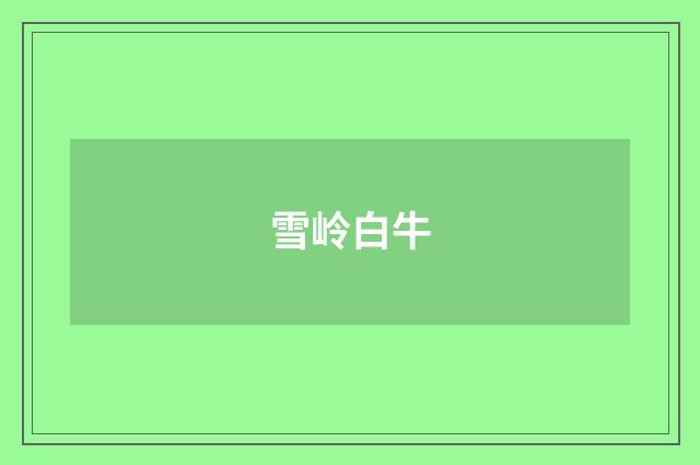 雪岭白牛