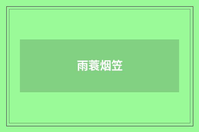 雨蓑烟笠