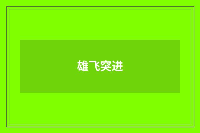 雄飞突进
