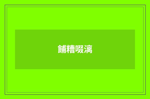 餔糟啜漓