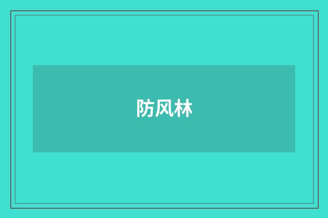 防风林