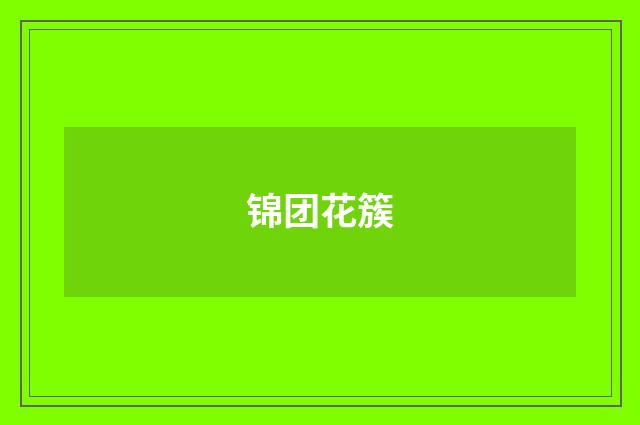 锦团花簇
