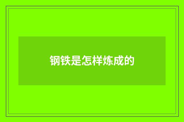 钢铁是怎样炼成的