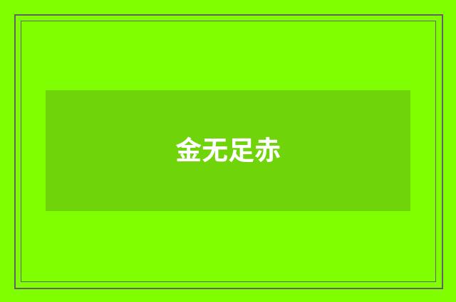 金无足赤