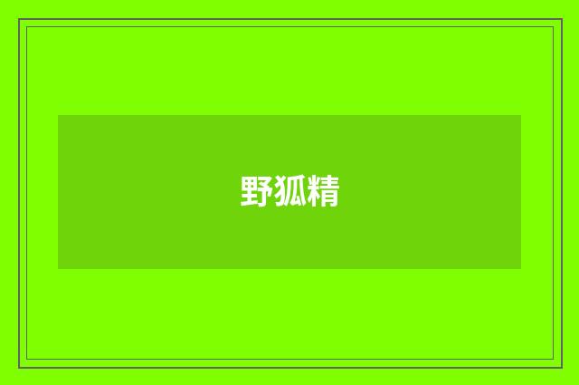 野狐精
