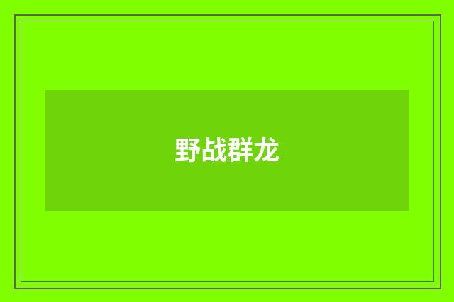 野战群龙