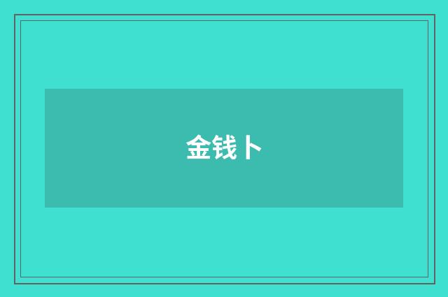 金钱卜
