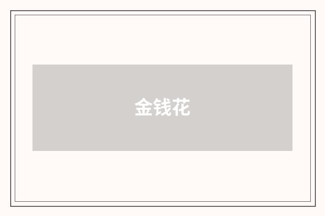金钱花