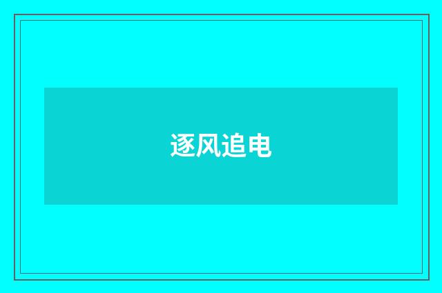逐风追电