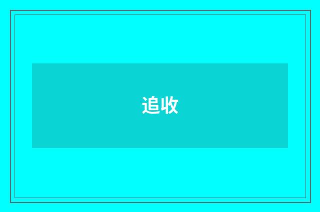 追收