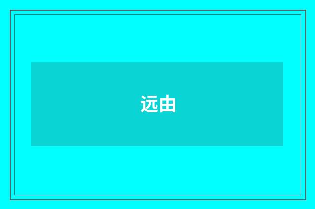 远由