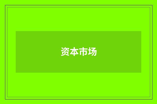 资本市场