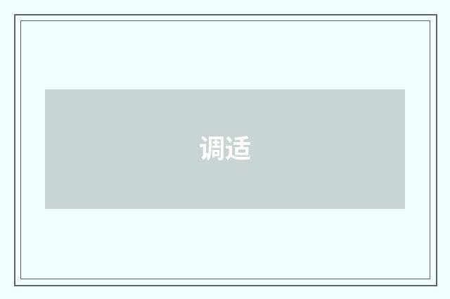 调适