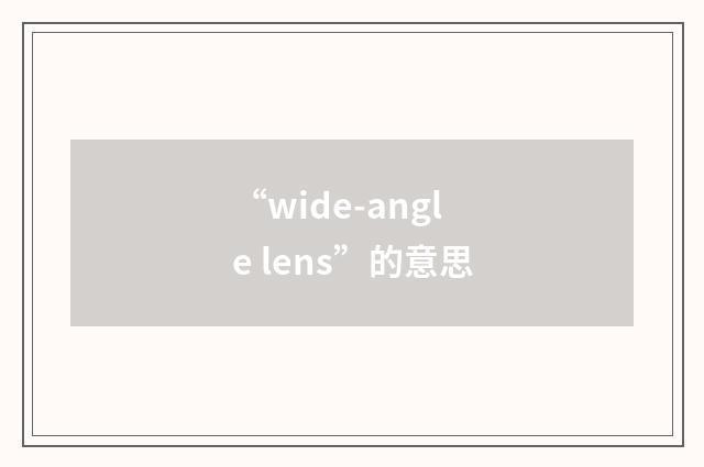 “wide-angle lens”的意思