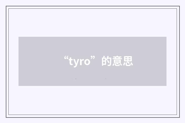 “tyro”的意思