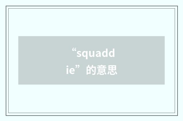 “squaddie”的意思