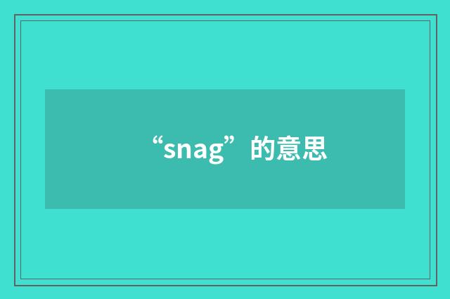 “snag”的意思