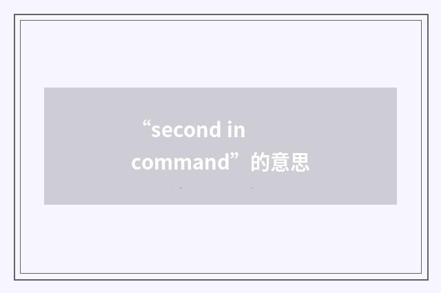 “second in command”的意思