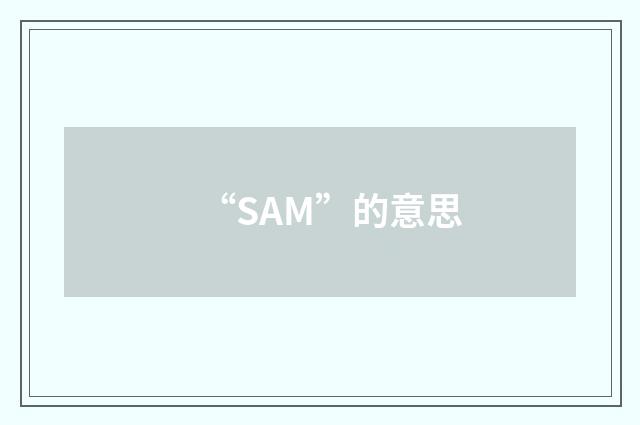 “SAM”的意思
