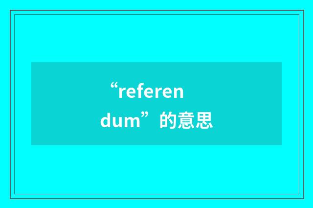 “referendum”的意思