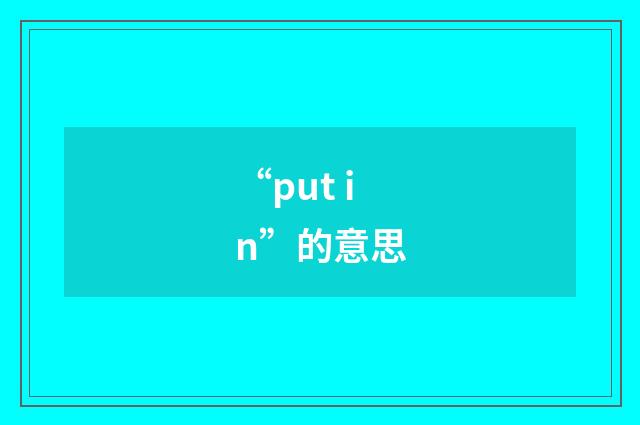 “put in”的意思