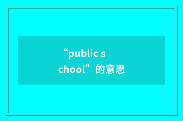 “public school”的意思