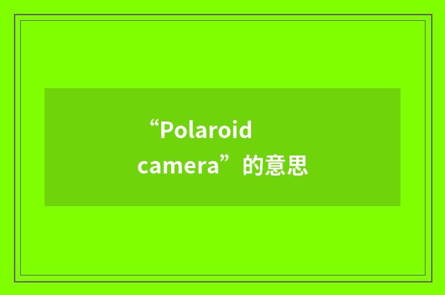 “Polaroid camera”的意思