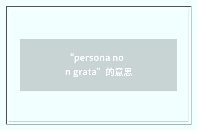 “persona non grata”的意思