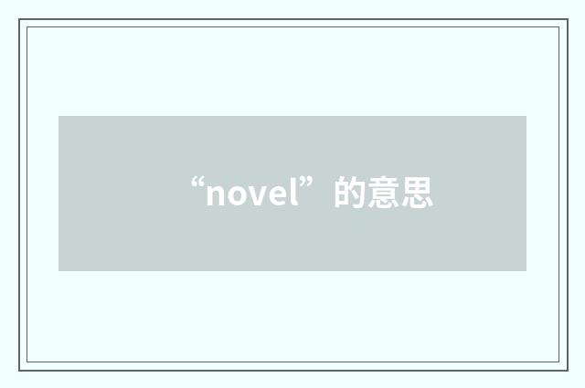 “novel”的意思