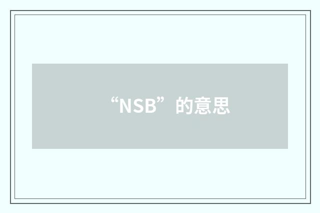 “NSB”的意思
