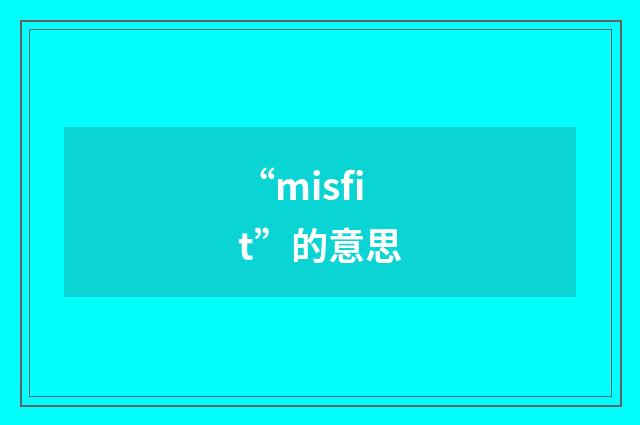 “misfit”的意思