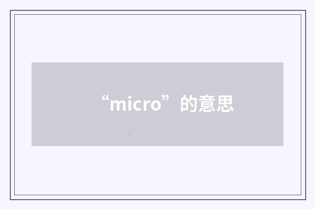 “micro”的意思
