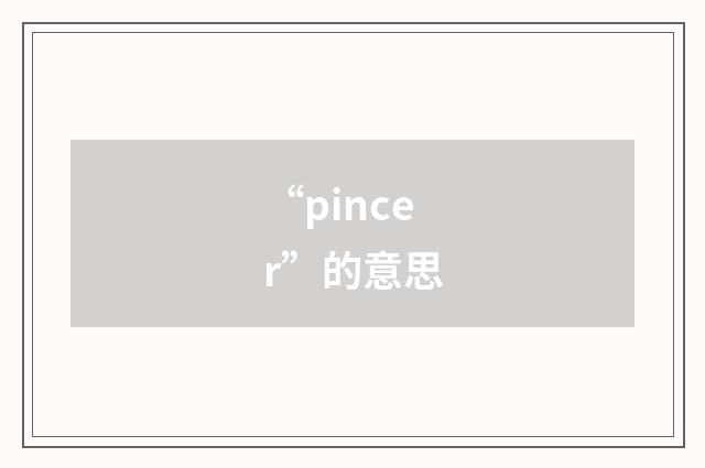 “pincer”的意思
