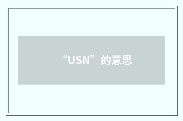 “USN”的意思
