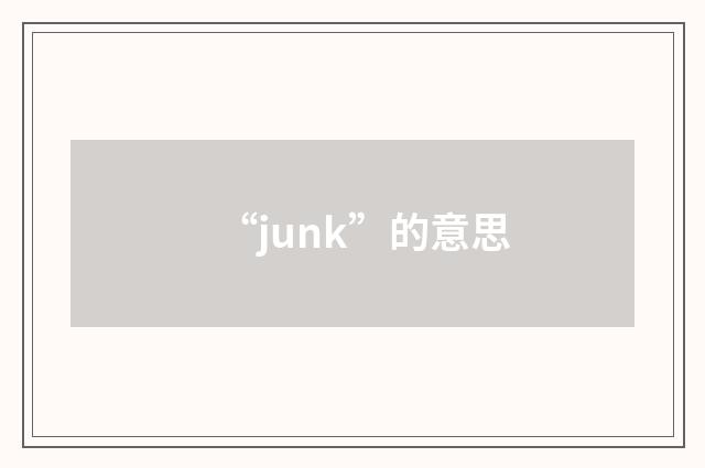 “junk”的意思