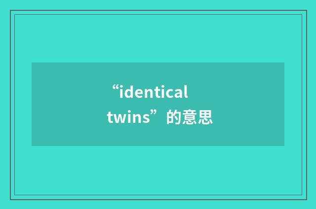 “identical twins”的意思