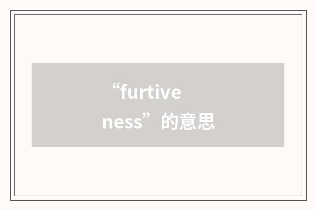“furtiveness”的意思